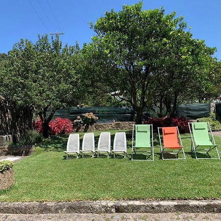 ויאנה דו קסטלו Casa Praia E Campo מראה חיצוני תמונה